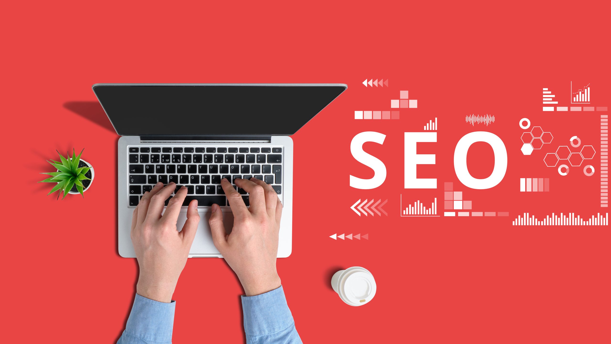 The concept of search engine optimization specialist